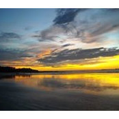 Tedd Weddle's photo