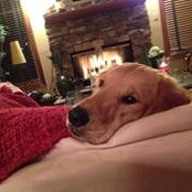 Cindy Bostic's photo