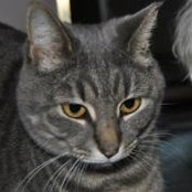 Audrey Huggan-Macdonald's photo