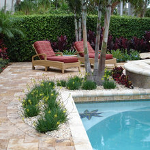 Pool Deck