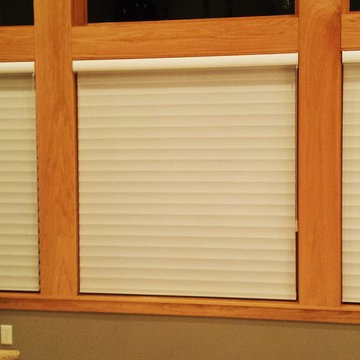Silhouette Window Shadings