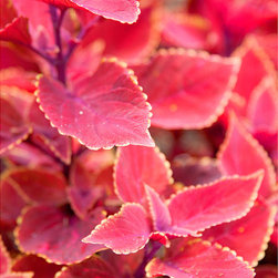 New Stock Photography - Products