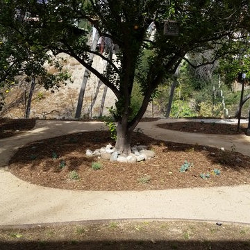 CA Native Landscape continued