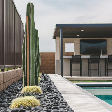 Contemporary Desert Ridge Oasis