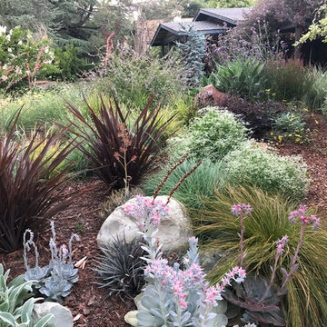 Colorful Watershed Front Landscape