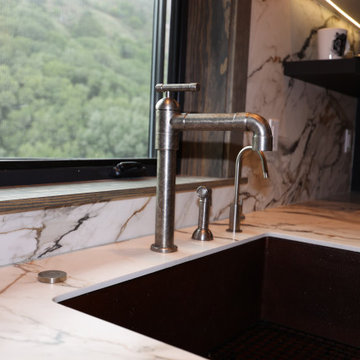 Jurassic Park Kitchen & Bathroom Remodel