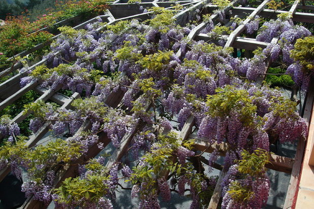 12 éléments qui font le charme des jardins de provence Jardin Mediteraneen désign