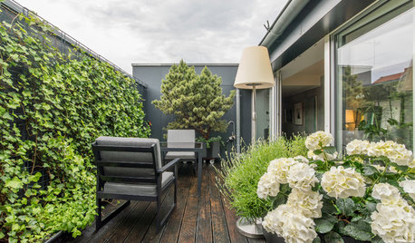 Anspruchsloser Kletterer: 7 Gründe, Efeu zu pflanzen