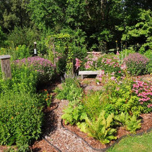 Birds in the garden
