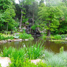Wetland Gardens