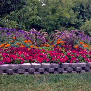 Softscape (Flowers, Flower beds and more)