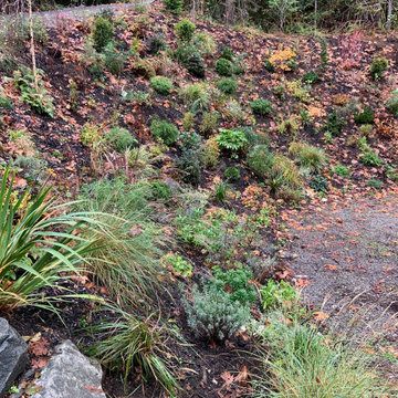 Layered Garden in the Woods