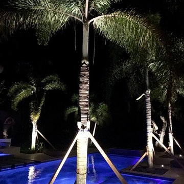 Landscape Lighting Orlando Fl