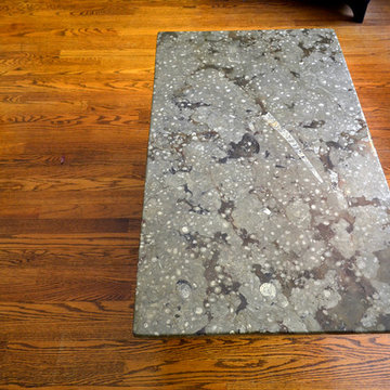 Fossil Marble Table Tops