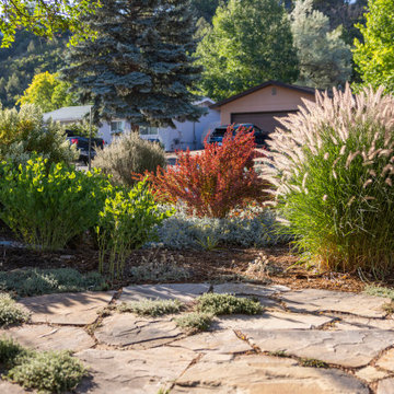 Pollinator Paradise