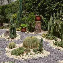 jardines