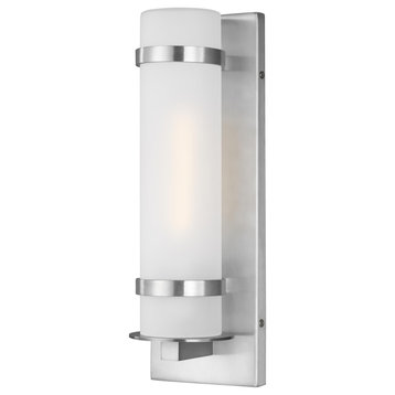 Alban Small 1-Light Outdoor Wall Lantern, Satin Aluminum