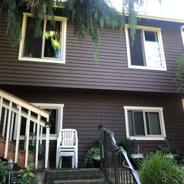 Monica's House in great Seattle