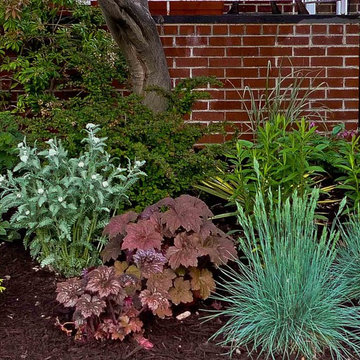 Reader's Garden