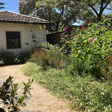Hawthorn | Front Garden | Landscape Design | Driveway re-design