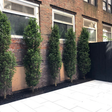 East Village Condo Court Yard