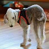 Scott Neven's photo