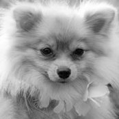 Sonya Mahnke's photo