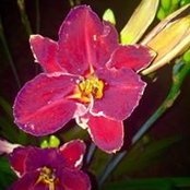 Richard Zurick's photo