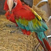 Susan Robertson's photo