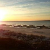 Debra Stribling's photo