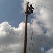 Dusty Williams's photo