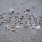 Sabrina Phillips's photo