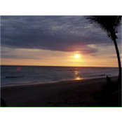Laura Peña's photo