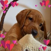 Kim Eberly's photo