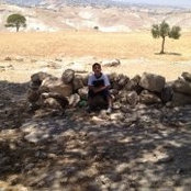 Lamis Abdo's photo