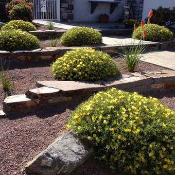 Xerigardens