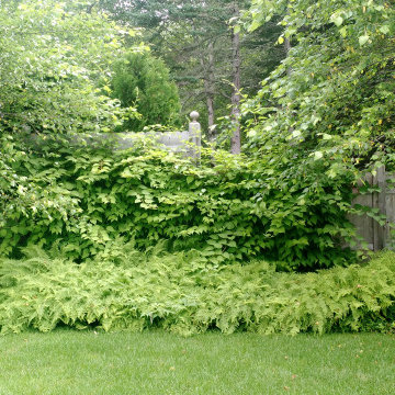 Residential Landscapes