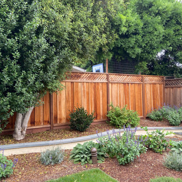 Sunnyvale Low Water & Dog Safe Garden