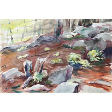 Eve Nethercott "Forest Floor, P1.27" Watercolor Painting