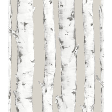 Downy Birch Peel & Stick Wallpaper Bolt