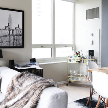 My Houzz: Modern & Globally-Inspired Chicago High Rise Condo