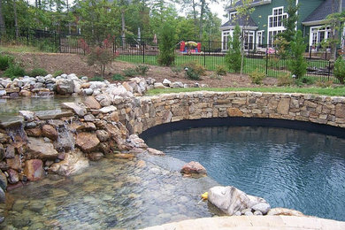 This is an example of a transitional pool in Richmond.