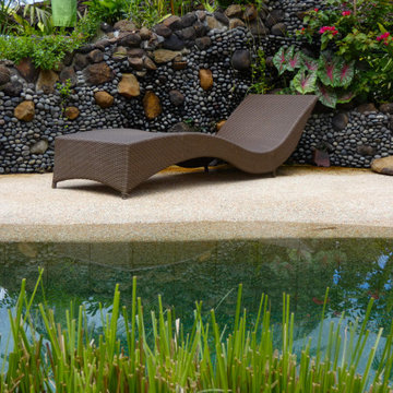 Natural Swimming Pool, Eco Lodge, Bali