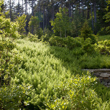 hillside