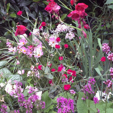 Flower-filled garden in Ealing