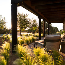 backyard planters