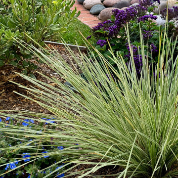Charming Eclectic Garden