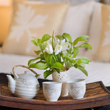 Albany Creek- Property Styling