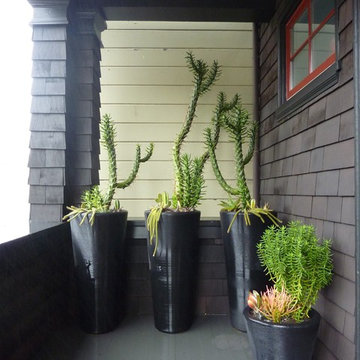 Sidewalk + Porch Garden