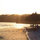 webuser_97197